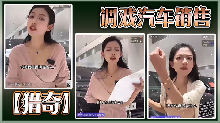 猎奇调戏汽车销售.