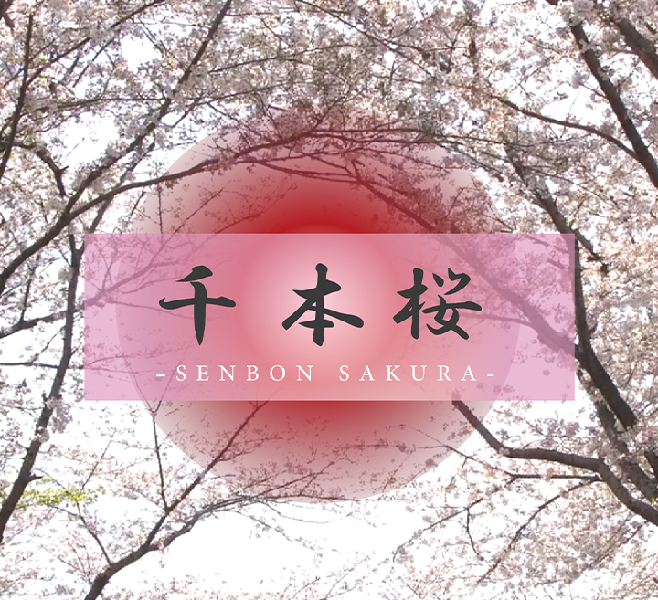 FC2-4325165 【キラキラに輝くのエロ街道】 バイトの先輩とエッチしちゃう刺激的な彼女。魅惑の大きなお尻